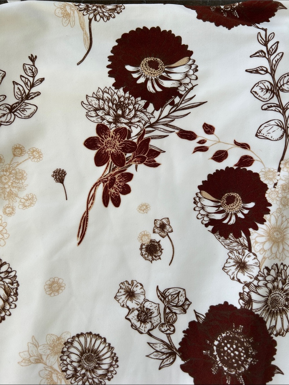 Charlie Holiday Cream One-Piece Swimsuit with Rust Floral Print - Picture 7 of 7